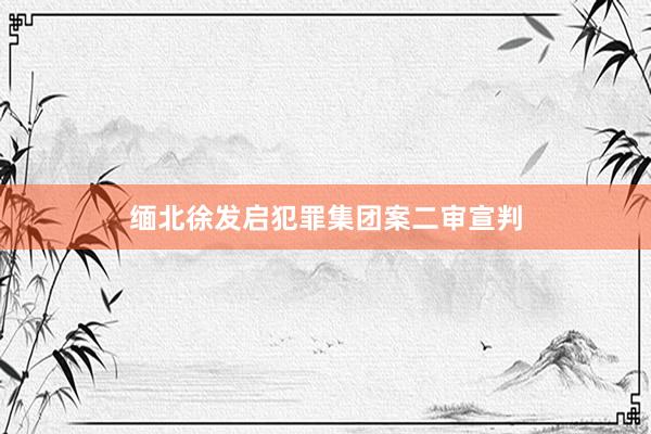 缅北徐发启犯罪集团案二审宣判