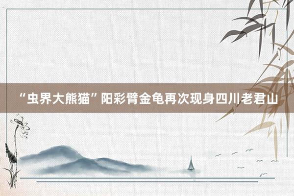 “虫界大熊猫”阳彩臂金龟再次现身四川老君山