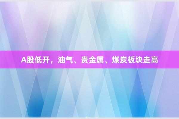 A股低开，油气、贵金属、煤炭板块走高