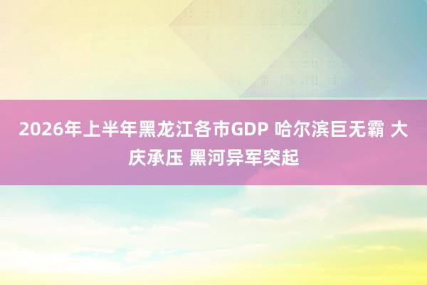 2026年上半年黑龙江各市GDP 哈尔滨巨无霸 大庆承压 黑河异军突起