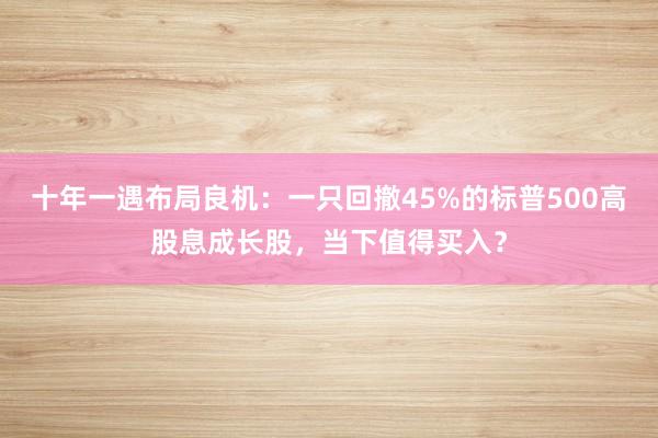 十年一遇布局良机：一只回撤45%的标普500高股息成长股，当下值得买入？