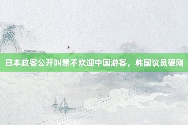 日本政客公开叫嚣不欢迎中国游客，韩国议员硬刚