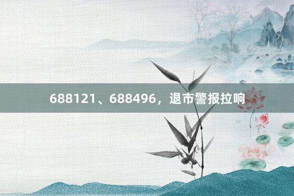 688121、688496，退市警报拉响