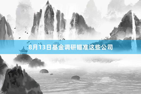 8月13日基金调研瞄准这些公司