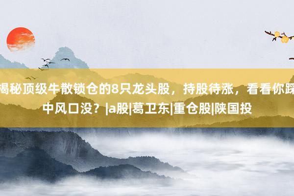 揭秘顶级牛散锁仓的8只龙头股，持股待涨，看看你踩中风口没？|a股|葛卫东|重仓股|陕国投