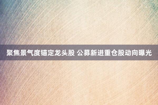 聚焦景气度锚定龙头股 公募新进重仓股动向曝光