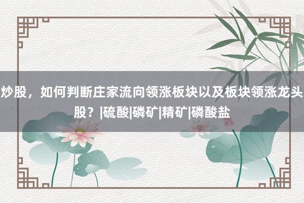 炒股，如何判断庄家流向领涨板块以及板块领涨龙头股？|硫酸|磷矿|精矿|磷酸盐