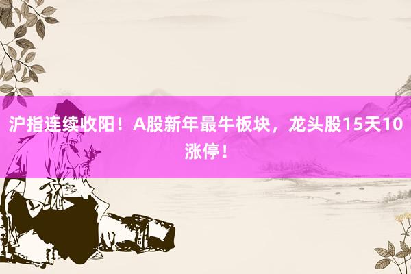 沪指连续收阳！A股新年最牛板块，龙头股15天10涨停！