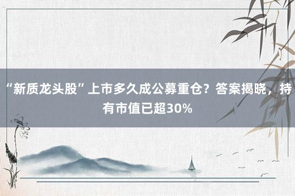 “新质龙头股”上市多久成公募重仓？答案揭晓，持有市值已超30%