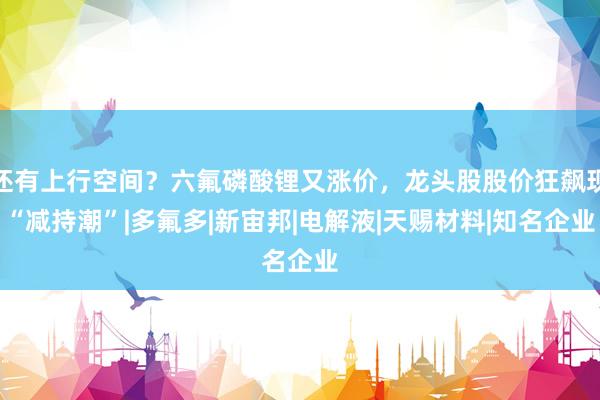 还有上行空间？六氟磷酸锂又涨价，龙头股股价狂飙现“减持潮”|多氟多|新宙邦|电解液|天赐材料|知名企业