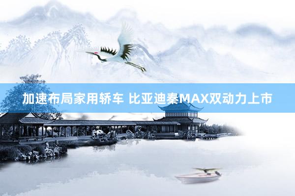 加速布局家用轿车 比亚迪秦MAX双动力上市
