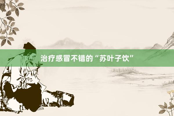 治疗感冒不错的“苏叶子饮”