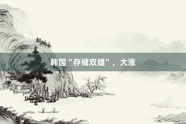 韩国“存储双雄”，大涨