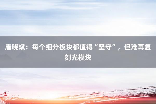 唐晓斌：每个细分板块都值得“坚守”，但难再复刻光模块
