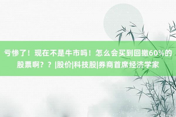亏惨了！现在不是牛市吗！怎么会买到回撤60%的股票啊？？|股价|科技股|券商首席经济学家