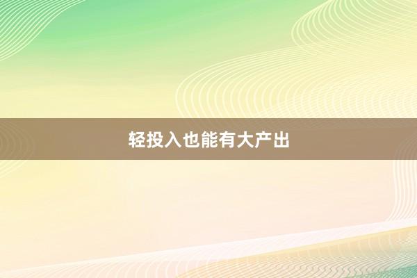 轻投入也能有大产出