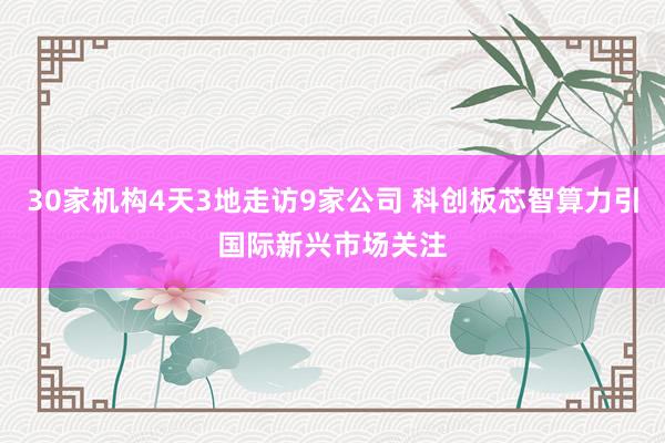 30家机构4天3地走访9家公司 科创板芯智算力引国际新兴市场关注