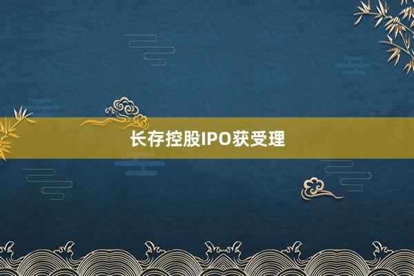 长存控股IPO获受理