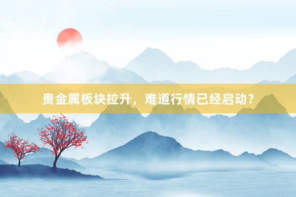 贵金属板块拉升，难道行情已经启动？