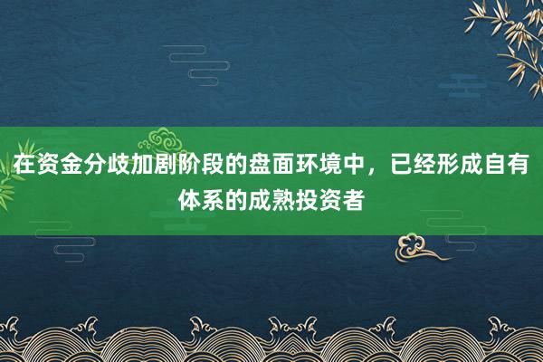 在资金分歧加剧阶段的盘面环境中，已经形成自有体系的成熟投资者