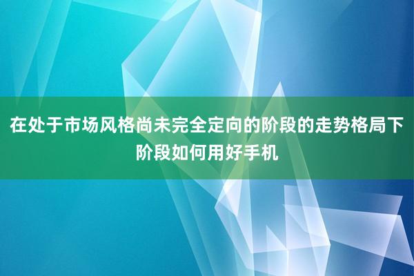在处于市场风格尚未完全定向的阶段的走势格局下阶段如何用好手机