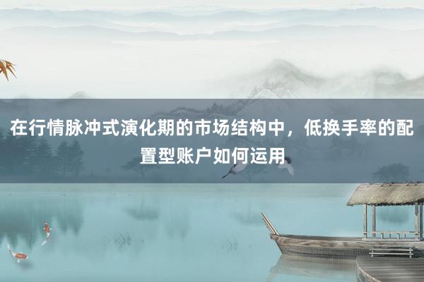 在行情脉冲式演化期的市场结构中，低换手率的配置型账户如何运用