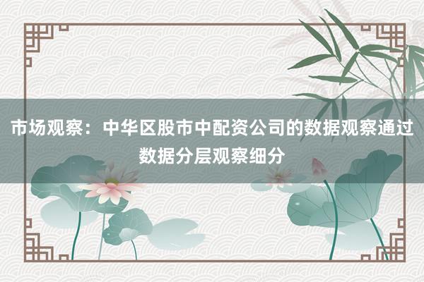 市场观察：中华区股市中配资公司的数据观察通过数据分层观察细分