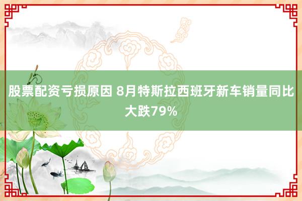 股票配资亏损原因 8月特斯拉西班牙新车销量同比大跌79%