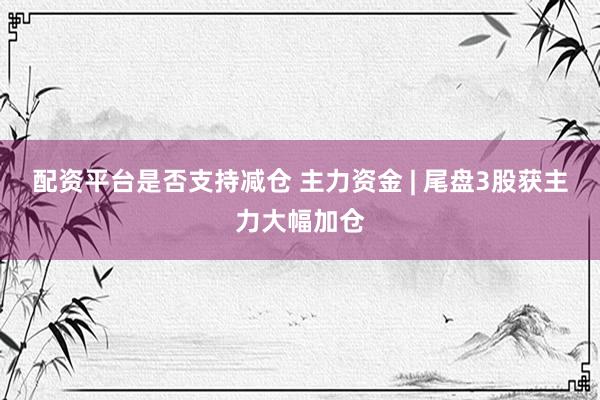 配资平台是否支持减仓 主力资金 | 尾盘3股获主力大幅加仓