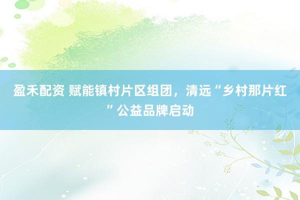 盈禾配资 赋能镇村片区组团，清远“乡村那片红”公益品牌启动