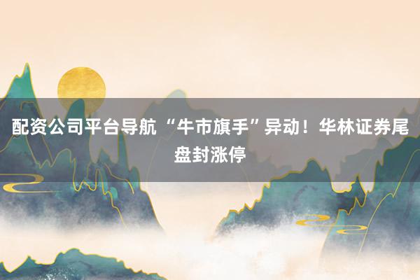 配资公司平台导航 “牛市旗手”异动！华林证券尾盘封涨停